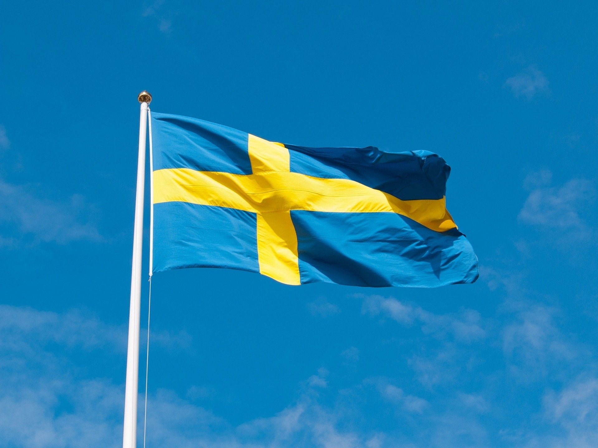 En bild som visar svenska flaggan